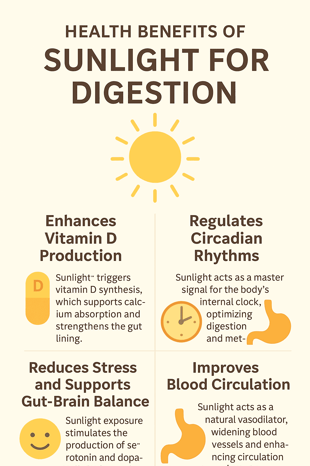 Infographic illustrating the key benefits of sunlight for digestive health, showing how sunlight supports vitamin D production, gut balance, circulation, and stress reduction.