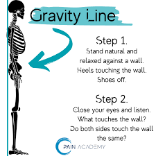 The wall stand posture reset teaches your nervous system proper alignment—the foundation for all strength training for women. Practice this daily to establish the postural baseline that prevents back pain and supports spinal health. Hold each overhead reach for 2 seconds while maintaining wall contact at head, shoulders, and hips. Wall stand posture reset exercise, back against wall with proper spinal alignment for strength training for women.