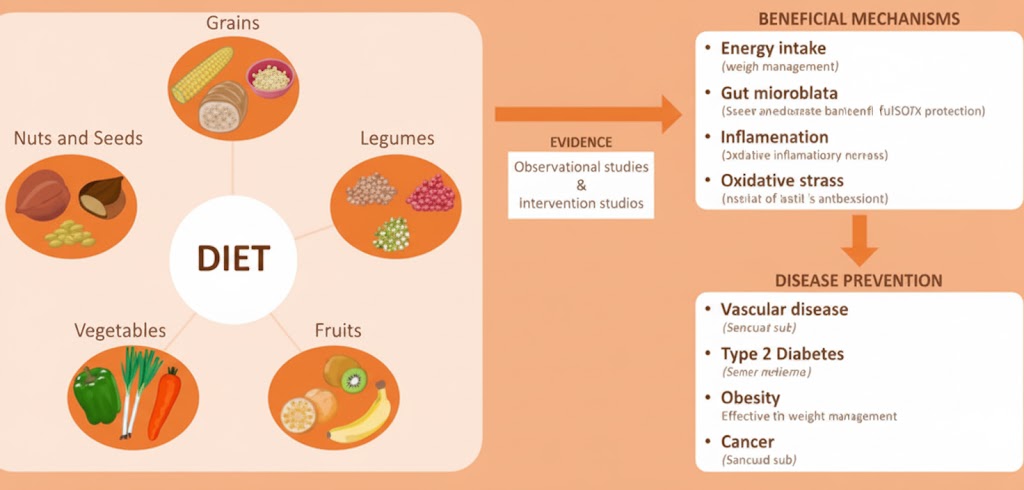 An illustrated chart showing the benefits of a vegetarian diet, highlighting how grains, legumes, fruits, vegetables, and seeds support digestion, reduce inflammation, and prevent lifestyle diseases. i want you to improve the clarity, contrast and apperance of the below image: