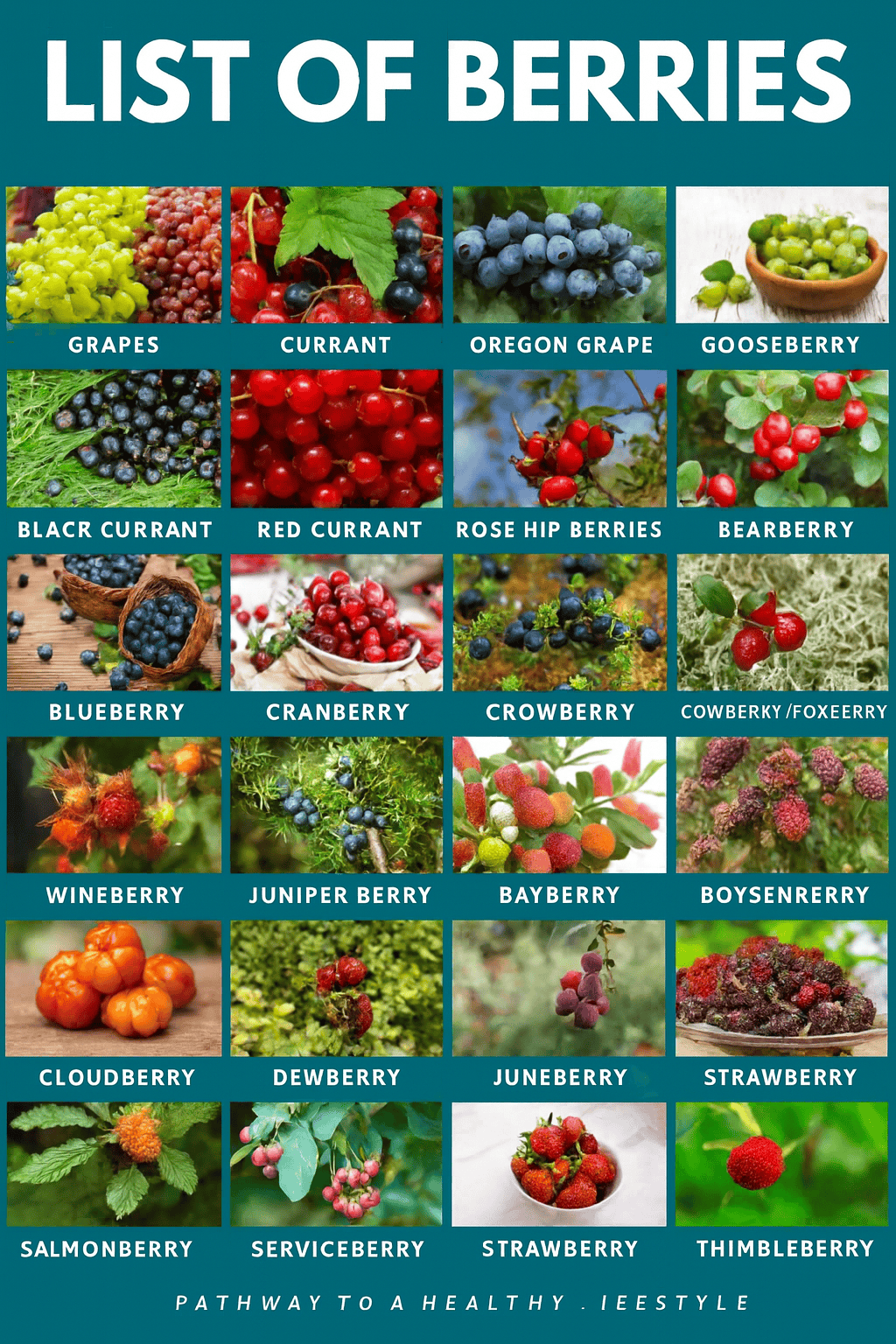 Each berry offers unique benefits to your health. Knowing the different varities is essential to attain optimal health benefits of berries.