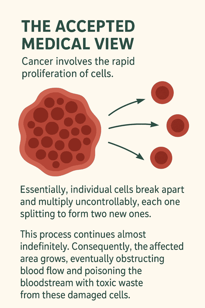 the process of cancer cell proliferation Visual diagram of cancer cell proliferation demonstrating the uncontrolled division of damaged cells, blockage of blood circulation, and accumulation of toxic waste in surrounding tissues.