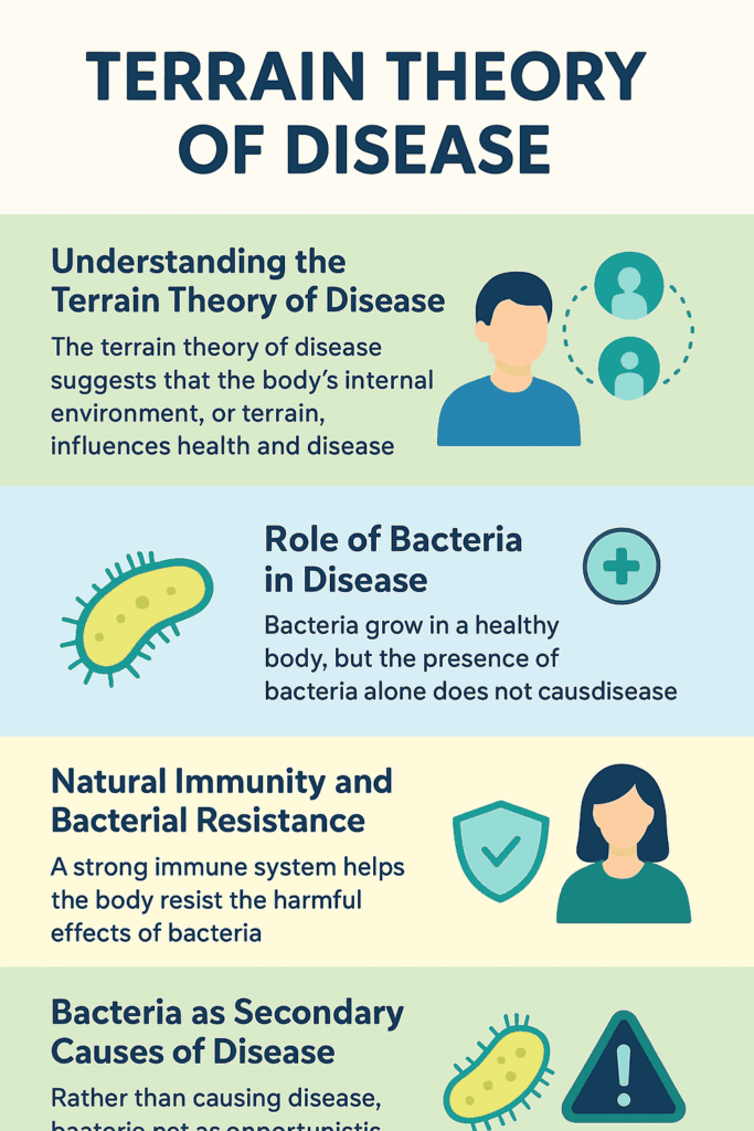 terrain theory of disease, emphasizing that bacteria are secondary manifestations, not primary causes of illness. Visual summary of the terrain theory of disease, explaining how internal body health, natural immunity, and bacterial resistance determine disease outcomes.