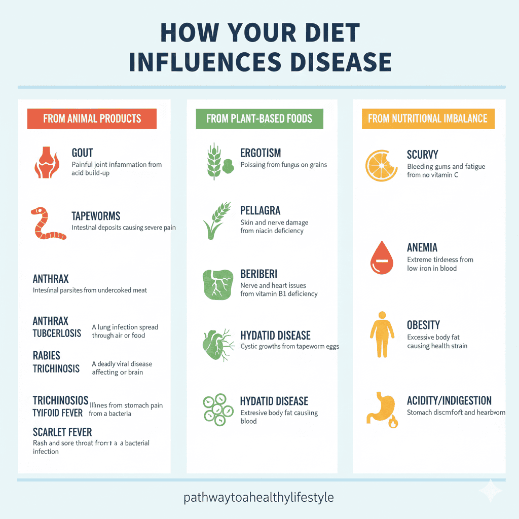 An infographic mapping the connection between food and disease, categorizing health risks from animal products, plant-based foods, and nutritional imbalances.